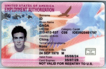 Employment Authorization Card